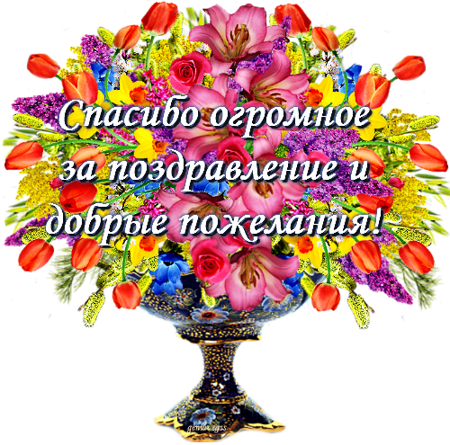 Выразить Благодарность За Поздравления С Днем Рождения