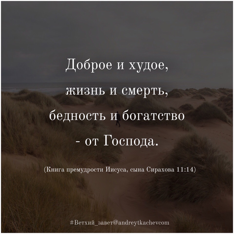 Ибо благодатью вы спасены через веру библия. Библия цитаты. Завет цитаты. Завет цитаты. Завет цитаты.
