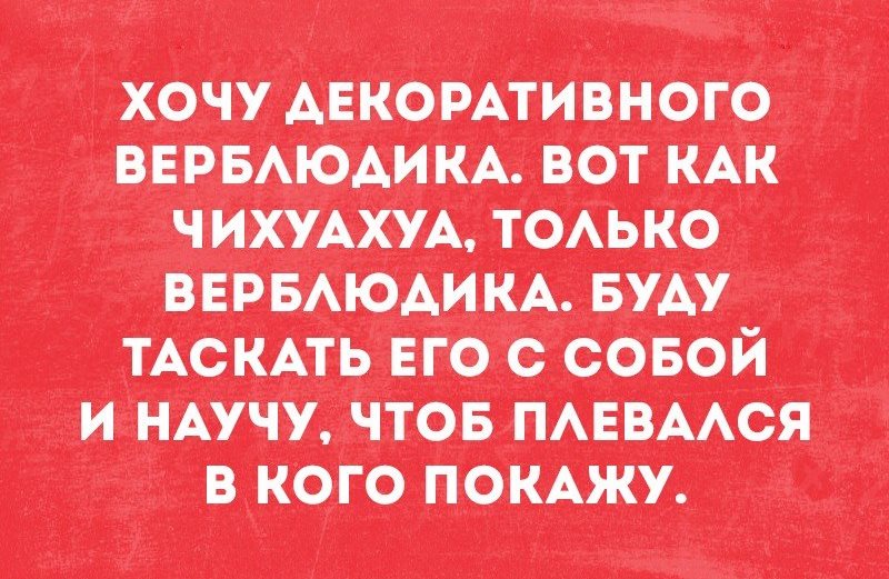 Раз чувствоваться. Раз чувствоваться. Раз чувствоваться. Раз чувствоваться. Раз чувствоваться.